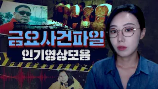 [3시간] 23년 상반기 금사파 인기영상 모음