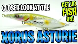 Best Bass Fishing Topwater Walking Pencil Bait? Xorus Asturie