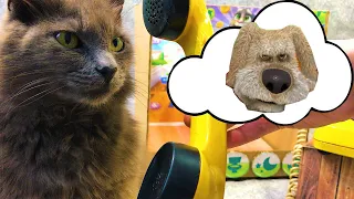 My Talking Tom and Talking Ben in real life. DIY