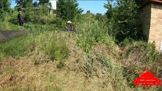 Cutting A Nightmare of a Yard That Hasn’t Been Cut In Over a DECADE (worst yard in history)