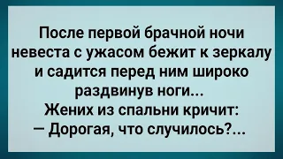 После Брачной Ночи Невеста Сошла с Ума! Сборник Свежих Анекдотов! Юмор!