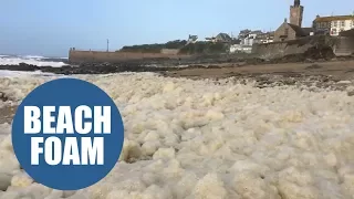 This video shows how Hurricane Ophelia transformed a popular tourist beach into a white wonderland