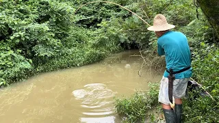 Foi hoje o dia das gigante no corgo represado, pescaria de tilápias!