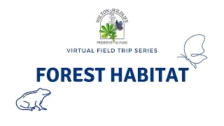 Virtual Field Trip: Forest Habitat