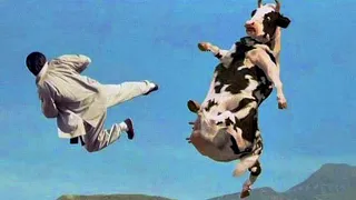Kung Pow Strongest Crazy Fight With The Cow 🔥 - Kung Pow! Enter the Fist