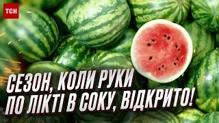 🍉 Кавуни одеські вже в продажу! Чи замінять херсонські?