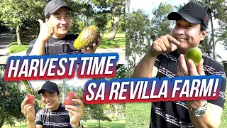 Fruit Picking sa Aming Family Farm! (Hacienda Azucena) | Ramon Bong Revilla Jr. Vlogs