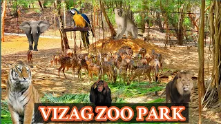 Vizag Zoo Park Full Video in Telugu | Indira Gandhi Zoological Park Tour by Car : Telugu Travel Vlog