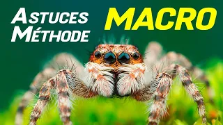 Maitriser la photo MACRO : Astuces RAREs & tuto Macrophotographie