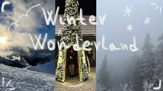 Travel vlog ❄️ Winter Paradise (Zakopane, Poland 📍)