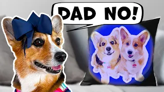 DOG GETS UNEXPECTED GIFT FROM DAD