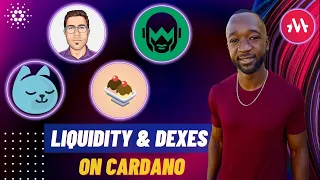 MELD - Cardano Liquidity & DEXes (Adoption, Growth, VC Funding & More!)