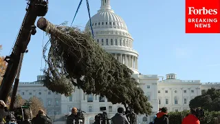 BREAKING NEWS: Christmas Tree Arrives At The United States Capitol In Washington, DC