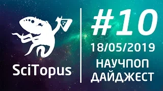 ТОП-5 НАУЧ-ПОП ВИДЕО НЕДЕЛИ #10 | 18.05.2019 | SciTopus