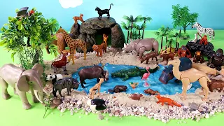 Fun Diorama For Playmobil Animal Figurines - Learn Animal Names