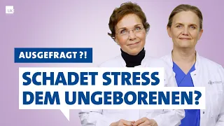 Ausgefragt?! - Prof. Arck und Prof. Diemert: Schadet Stress dem Ungeborenen?