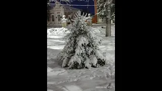 "Самая красивая Родина моя" , слова и музыка Т.Бокач