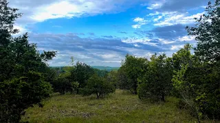 Hercules Glades Wilderness Missouri