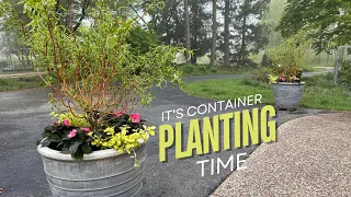 Planting the first summer containers of the year! 🌿