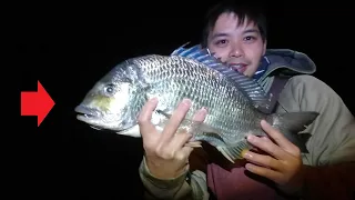 This is how I catch monster bream! 47.5cm