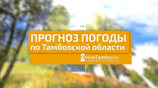 Прогноз погоды в Тамбове и Тамбовской области на 17 июня 2023 года
