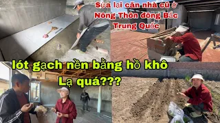 #396🇨🇳Ở Nông Thôn Đông Bắc Trung Quốc Lót Gạch Nền Bằng Hồ Khô,Lạ quá??? Liệu có chắt không???