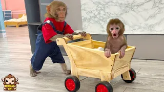 YiYi takes baby monkey Yumy to ask dad to take care of when she is sick