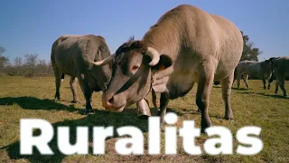 #RURALITAS | Madrid - La2