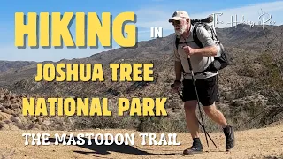 Hiking in Joshua Tree National Park - The Mastodon Trail