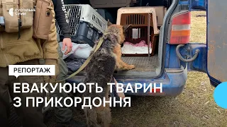 "Тварини — це святе": як волонтери евакуюють тварин з Великописарівської громади на Сумщині