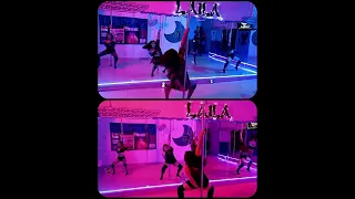 Exotic pole choreo NBK