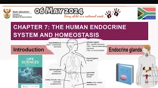 Endocrine System And Homeostasis | Introduction and Glands | Full Class | 06/05/2024 |  #grade12