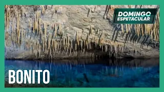 50 por 1: Álvaro Garnero explora a mata de Bonito (MS) e uma das grutas mais famosas do local