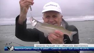 PEJERREYES  excelente pesca en CUERO DE ZORRO