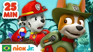 Patrulha Canina | Resgates na Selva | Nick Jr. em Português