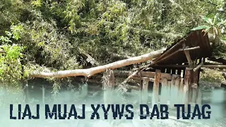 Yuav tau lub liaj muaj xyws dab tuag. 31/3/2022.