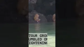 strange creatures found in Thailand caves