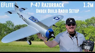 Eflite - P-47 Razorback V2 - 1.2m - Unbox, Build, & Radio Setup