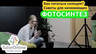 Биология | Фотосинтез. Что это и с чем это едят?