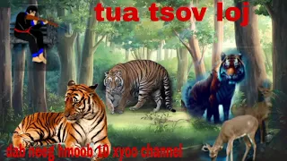 dab neeg mu yos hav zoov muaj tsov Los nya tua tsov txaus ntshai