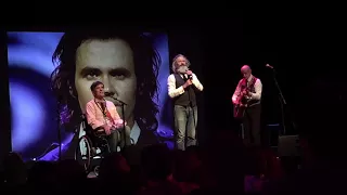 Doug Anthony Allstars (DAAS) Throw Your Arms Around Me - Melbourne, 18 November 2017