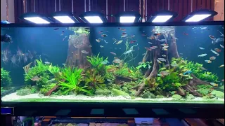 Led aquarium light visual enjoyment -Weekaqua  A Series by Jarvis Tank