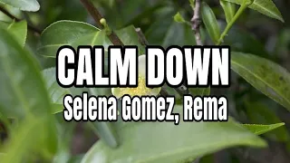 Calm Down - Selena Gomez, Rema (Lyrics)