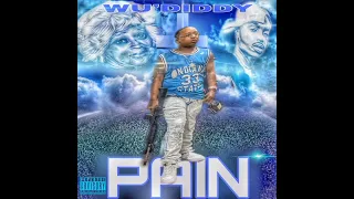 WU DIDDY: PAIN #garyindiana  #pain  #33