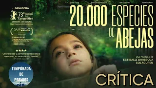 20.000 especies de abejas Crítica sin Spoilers ★★★½