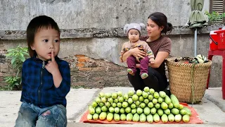 Single Girl: Harvesting Cucumbers Goes market to sell with her children | Cooking with two children