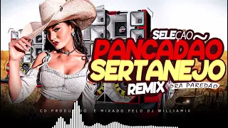 CDZÃO  PANCADÃO SERTANEJO REMIX - SELEÇÃO PRA  TOCA NO PAREDÃO 2023