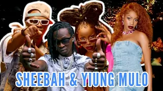 The best collaboration of the year || Sheebah and Young MULO || Sipimika brand new hit performed.