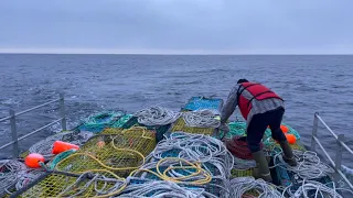 Lobster fishing out of Lunenburg, NS on the Sassy Lassy I