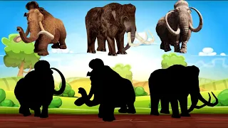 Cute Animals Mammoth, Elephant, Bigfoot 매머드, 코끼리, 빅풋